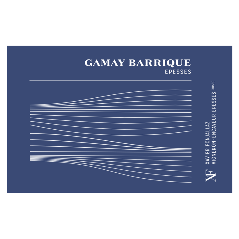 Gamay Barrique